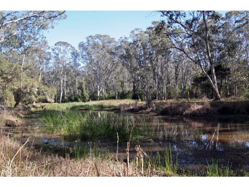 82 Millfield Road, Bellbird Waters Estate, Paxton NSW 2325