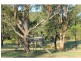 Millfield NSW 2325