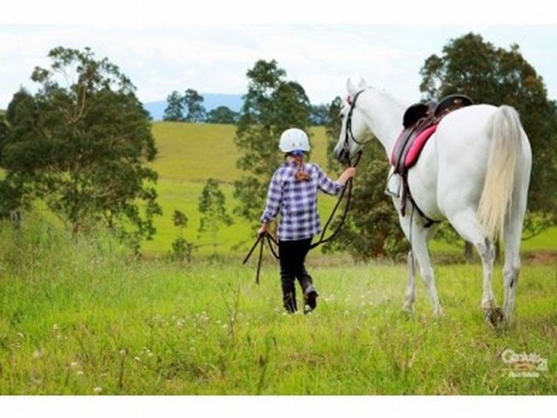 Subj lots Limeburners Creek Road, Clarence Town NSW 2321