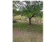 156 Lovedale Road, Lovedale NSW 2325
