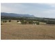 156 Lovedale Road, Lovedale NSW 2325