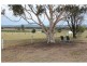 156 Lovedale Road, Lovedale NSW 2325