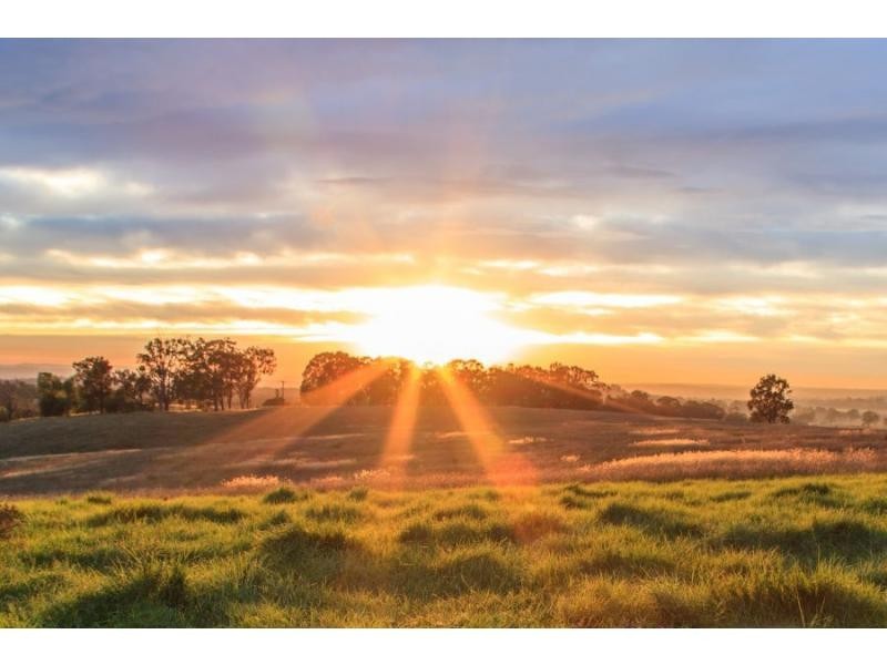 587 Debeyers Road, Pokolbin NSW 2320