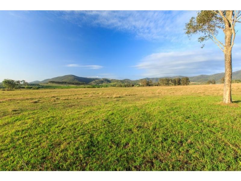 587 Debeyers Road, Pokolbin NSW 2320