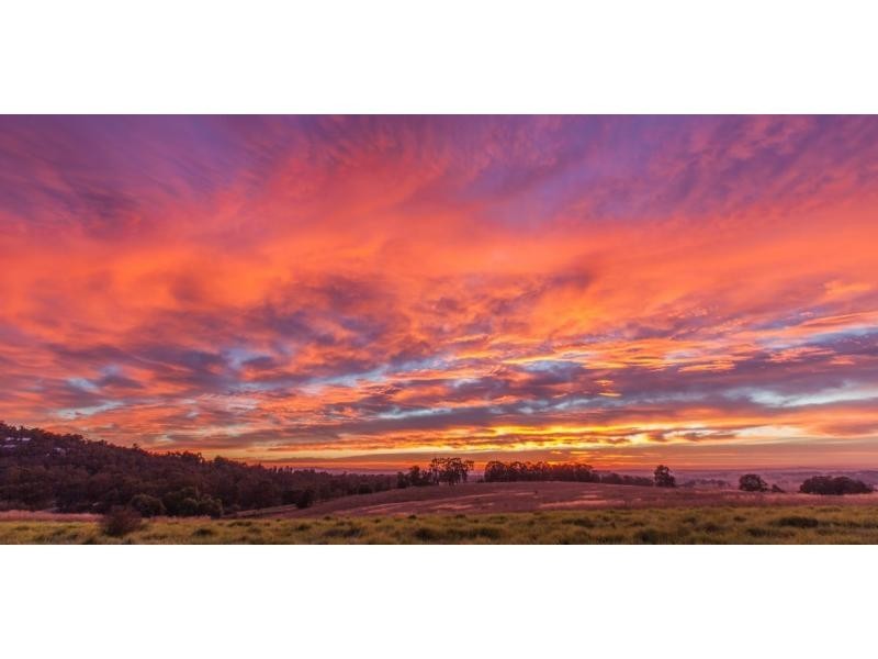 587 Debeyers Road, Pokolbin NSW 2320