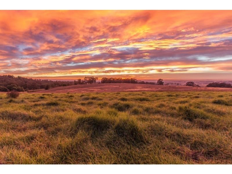 587 Debeyers Road, Pokolbin NSW 2320