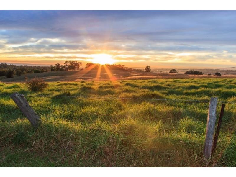 587 Debeyers Road, Pokolbin NSW 2320