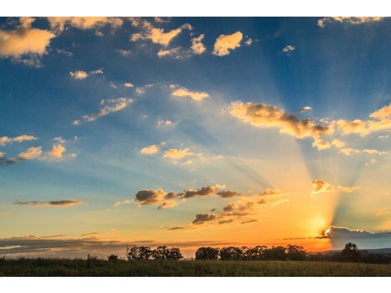 587 Debeyers Road, Pokolbin NSW 2320