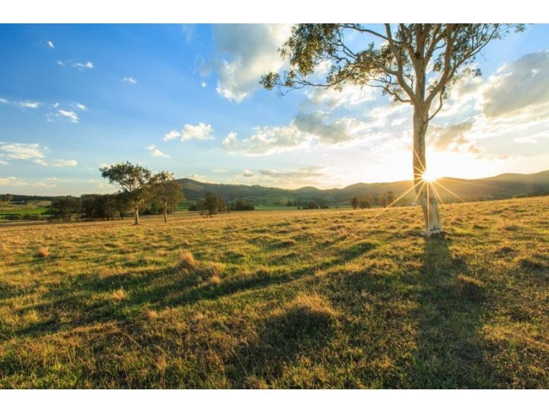587 Debeyers Road, Pokolbin NSW 2320