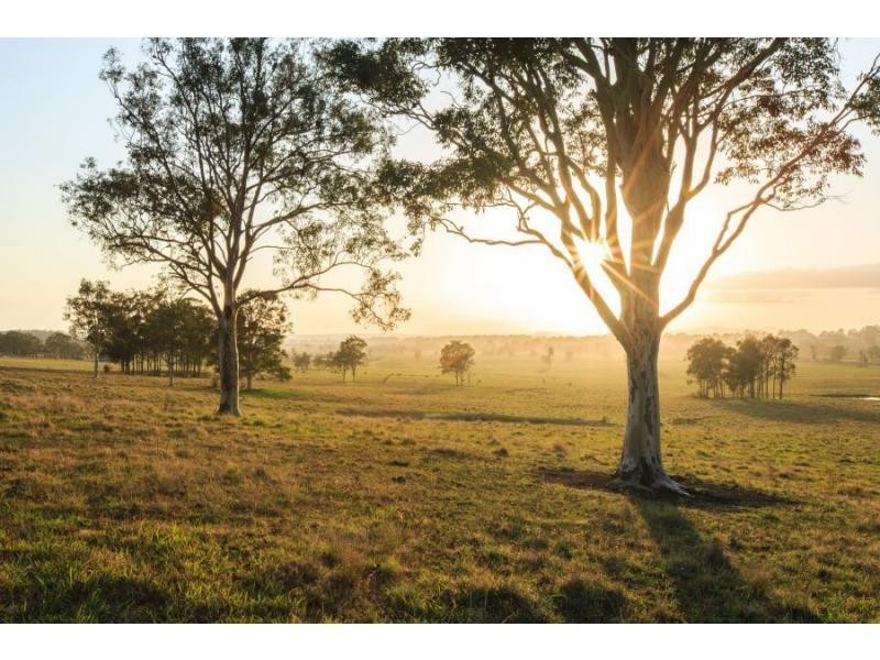 587 Debeyers Road, Pokolbin NSW 2320