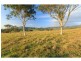 587 Debeyers Road, Pokolbin NSW 2320