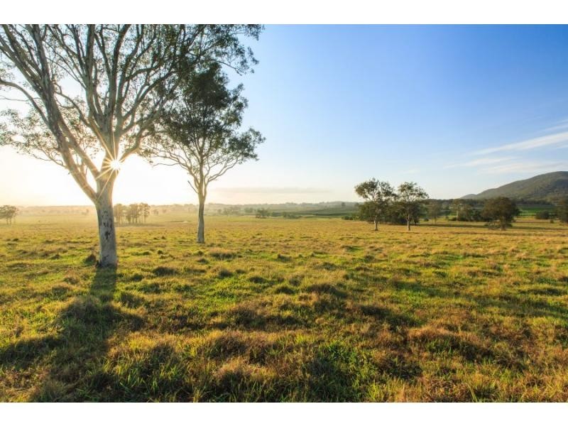 587 Debeyers Road, Pokolbin NSW 2320