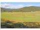 2013 Wollombi Road, Cedar Creek NSW 2325