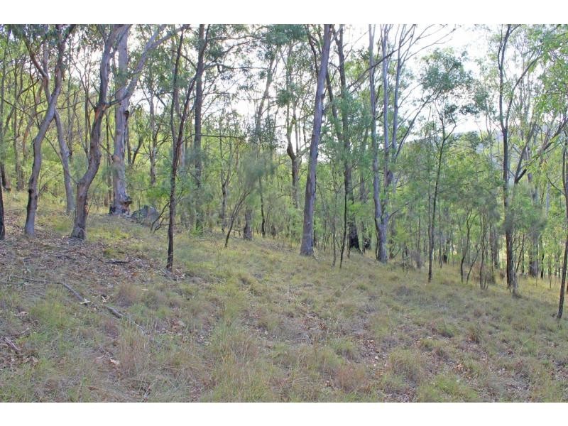 2013 Wollombi Road, Cedar Creek NSW 2325