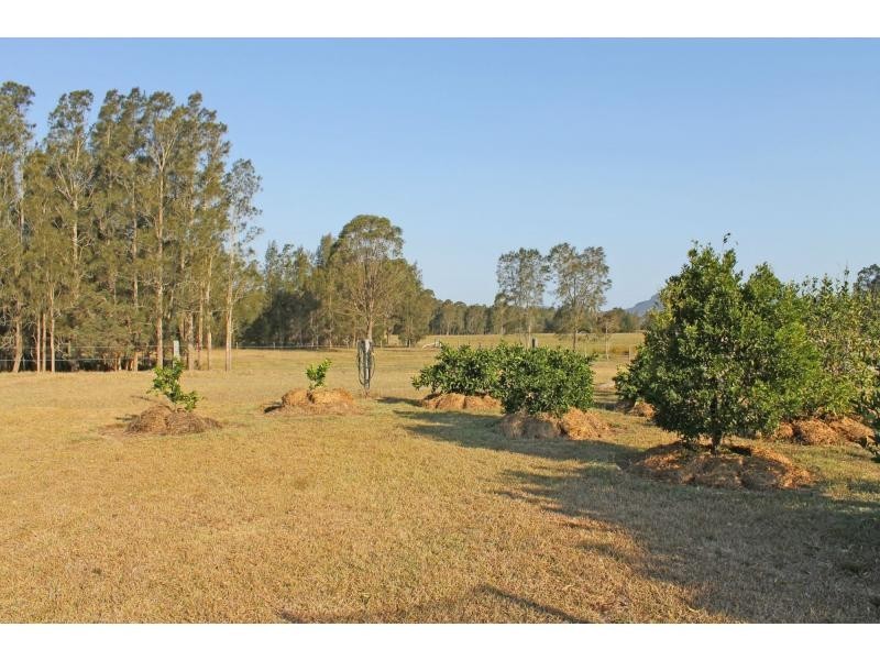 331 Quorrobolong Road, Quorrobolong NSW 2325