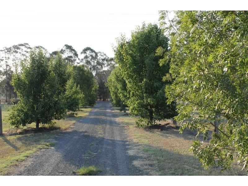 331 Quorrobolong Road, Quorrobolong NSW 2325