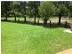 17 Government Circuit, Kearsley NSW 2325