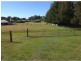17 Government Circuit, Kearsley NSW 2325
