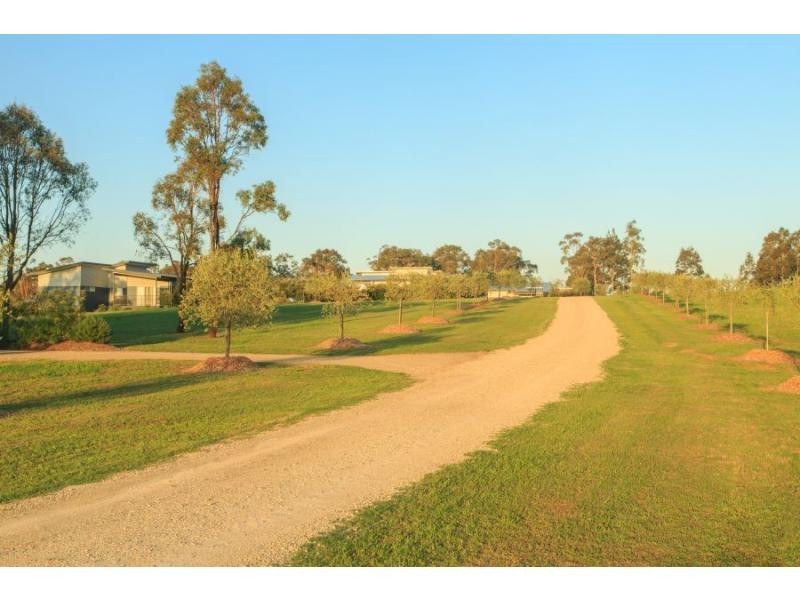 186 Old North Road, Pokolbin NSW 2320