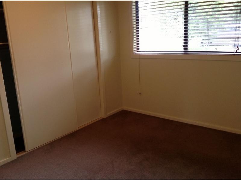 36 Rothbury Street, North Rothbury NSW 2335