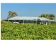 1039 McDonalds Road, Pokolbin NSW 2320