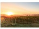 1039 McDonalds Road, Pokolbin NSW 2320