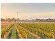 1039 McDonalds Road, Pokolbin NSW 2320