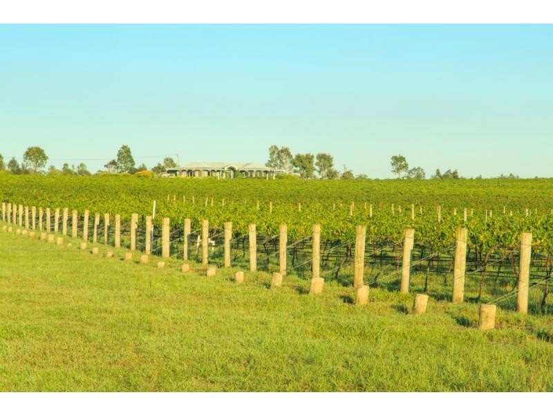 1039 McDonalds Road, Pokolbin NSW 2320
