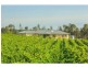 1039 McDonalds Road, Pokolbin NSW 2320
