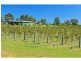 1039 McDonalds Road, Pokolbin NSW 2320