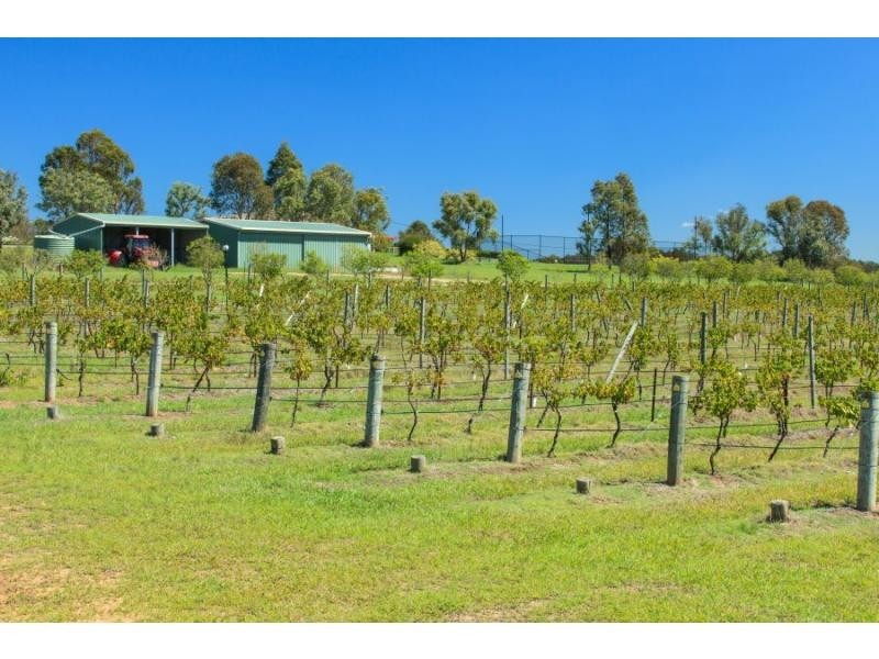 1039 McDonalds Road, Pokolbin NSW 2320
