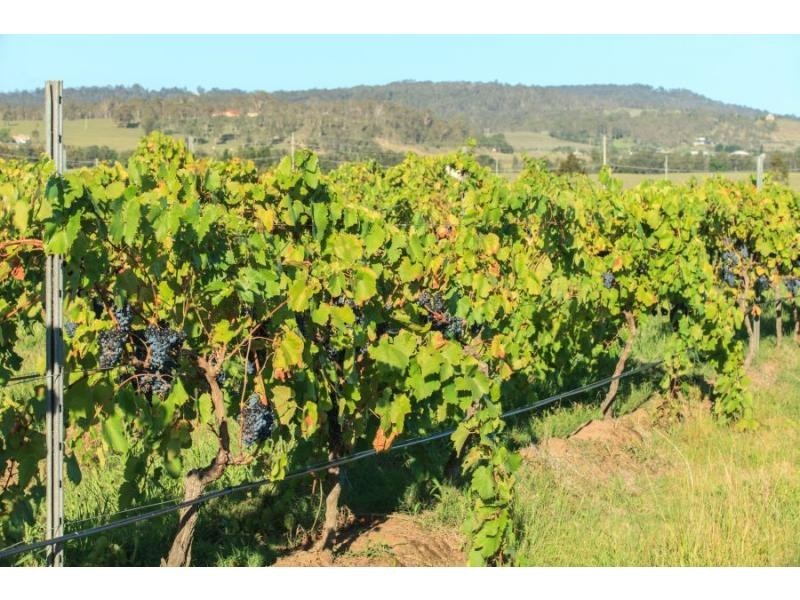 1039 McDonalds Road, Pokolbin NSW 2320