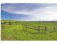 974 Luskintyre Road, Luskintyre NSW 2321