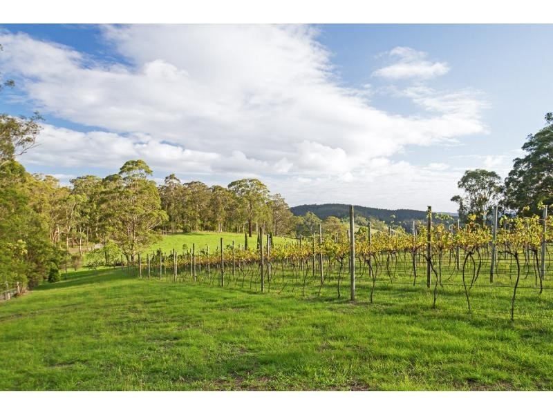 147 Mount Bright Road, Mount View NSW 2325