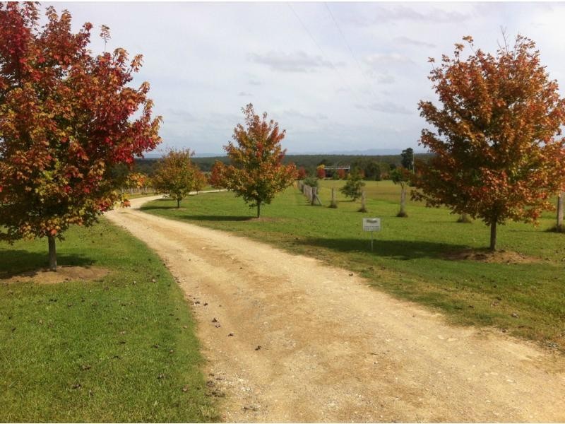 60 Majors Lane, Lovedale NSW 2325