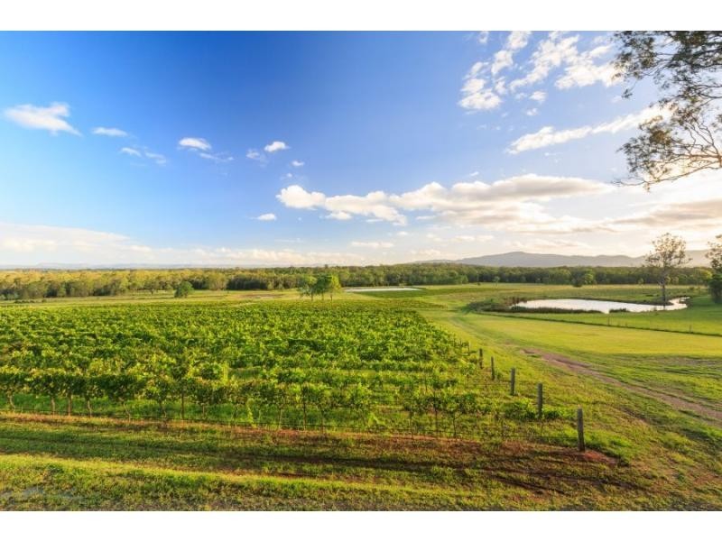 2342 Broke Road, Pokolbin NSW 2320