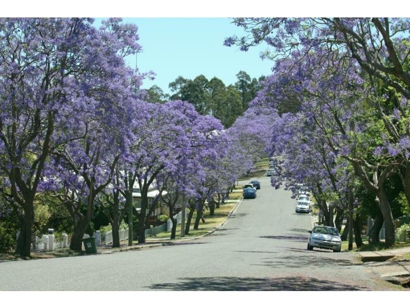 26 Regent Street, Cessnock NSW 2325