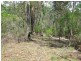 Lot 207, 636 Finchley Track, Wollombi NSW 2325