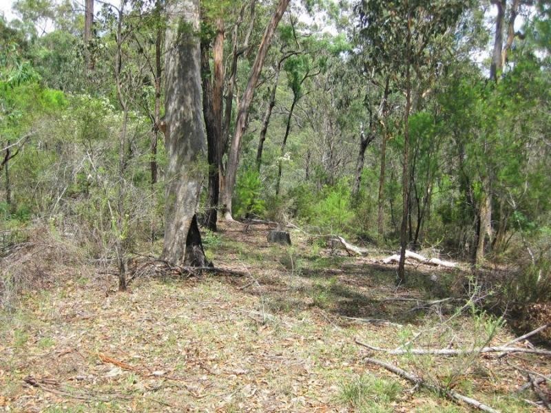 Lot 207, 636 Finchley Track, Wollombi NSW 2325