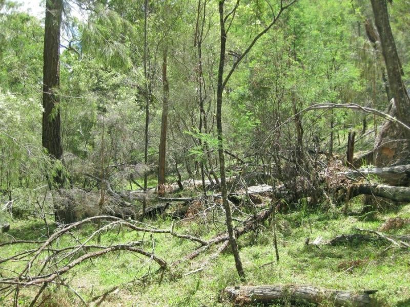 Lot 207, 636 Finchley Track, Wollombi NSW 2325