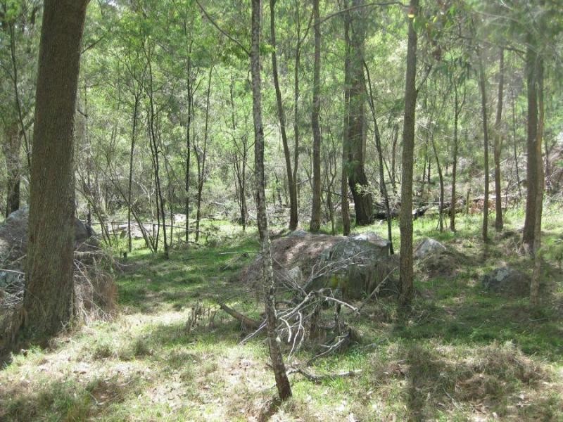 Lot 207, 636 Finchley Track, Wollombi NSW 2325