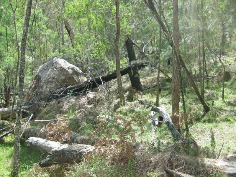 Lot 207, 636 Finchley Track, Wollombi NSW 2325