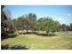 864 Old North Road, Pokolbin NSW 2320