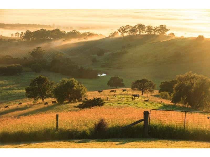 266 Bimbadeen Road, Mount View NSW 2325
