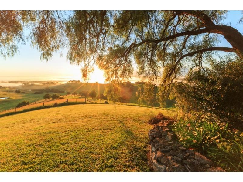 266 Bimbadeen Road, Mount View NSW 2325