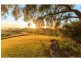 266 Bimbadeen Road, Mount View NSW 2325