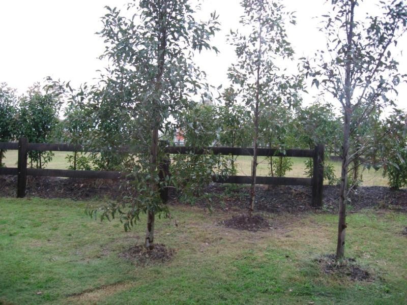 L92 Myrtle Lane, Kelman Estate, Pokolbin NSW 2320
