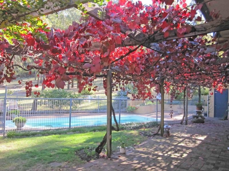 940 Milbrodale Road, Broke NSW 2330