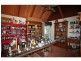 67 Wollombi Street, Broke NSW 2330