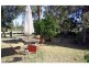 67 Wollombi Street, Broke NSW 2330